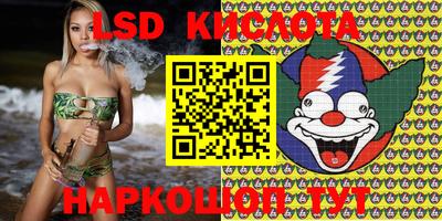 индика Моздок