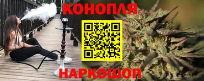 индика Моздок