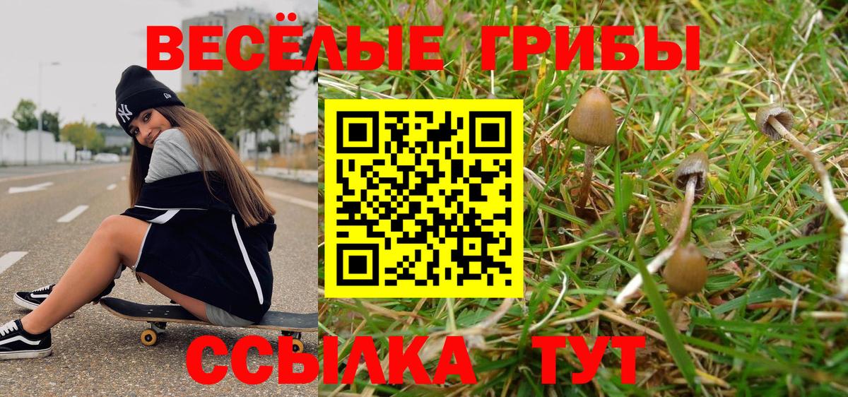 Азов  Псилоцибиновые грибы MAGIC MUSHROOMS  Вход с VPN  Галлюциногенные грибы прущие грибы 