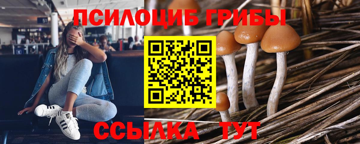 Галлюциногенные грибы GOLDEN TEACHER Азов